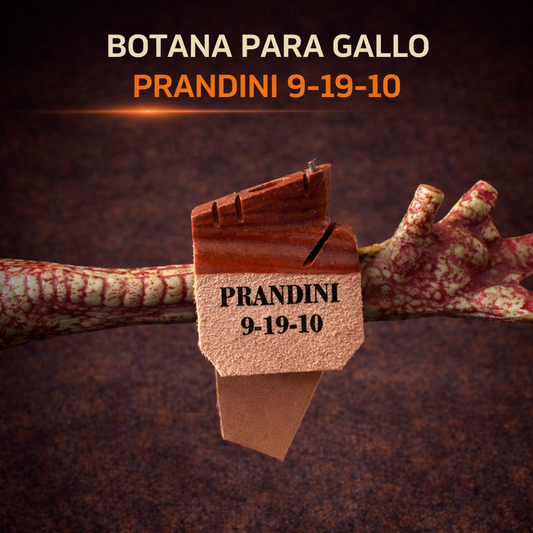 Botana profesional Prandini 9-19-10
