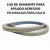 Lija de diamante G60 1/2 x 63 y 1/2 x 8” para polea expansiva